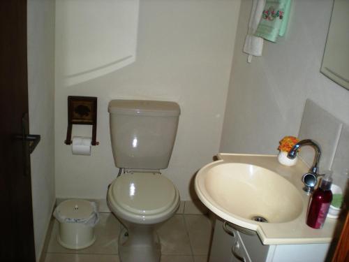 a small bathroom with a toilet and a sink at Refúgio do Azzi in Monte Verde
