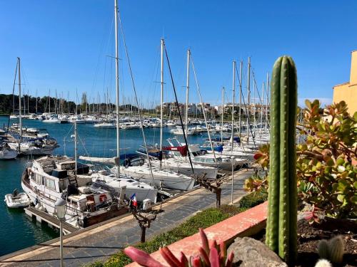 Studio Douceur du Cap Vue port Marinas, parking