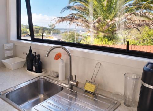 eine Küchenspüle mit Blick auf eine Palme in der Unterkunft The Tiny Abode in Snells Beach