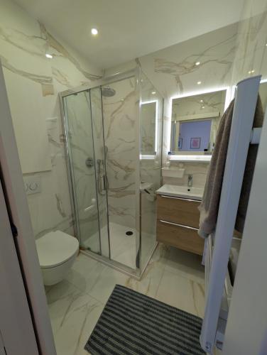 a bathroom with a shower and a toilet and a sink at Studio in a luxury community in Nice