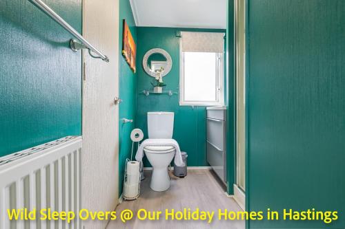 a bathroom with a toilet and green walls at Holiday Home in Hastings in Hastings