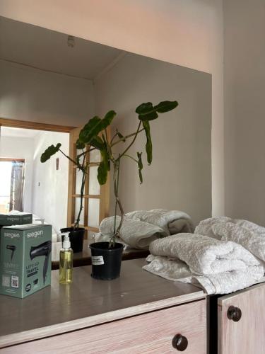 a room with two potted plants on a table at Casona san isidro in Vicuña