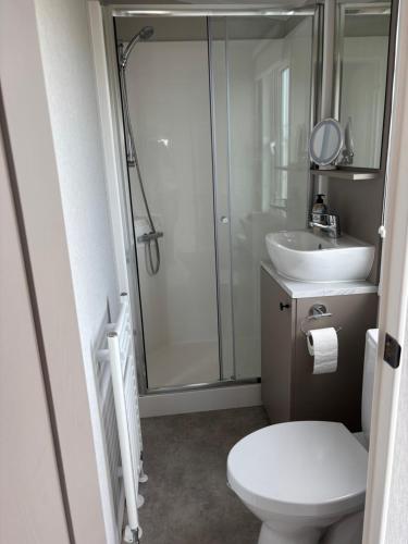 a bathroom with a shower and a toilet and a sink at NEU Chalet Wattenmeerblick 2026 in Westerland