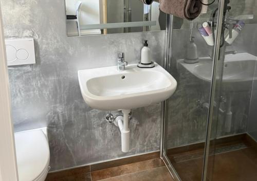 a bathroom with a sink and a toilet at Studio lumineux in La Chaux-de-Fonds