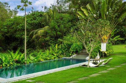 a swimming pool in a garden with a table and a tree at Mudita Glamping and Villas Tarlac in Mababanaba