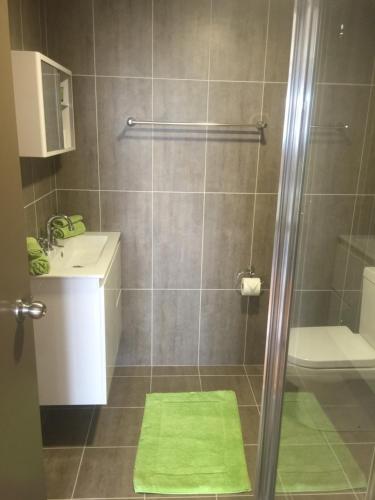 a bathroom with a shower with a sink and a toilet at Sinclairs Country Retreat in Conjola
