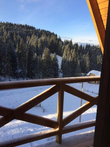 a view of a snow covered forest from a window at Dream House in Yablunytsya