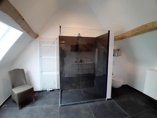 a bathroom with a shower with a chair and a toilet at Ferme de la Naverie wi - holiday home for 2 persons in Celles