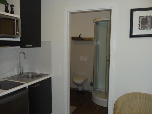 W łazience znajduje się prysznic, umywalka i toaleta. w obiekcie Apartment am Roten Stein w mieście Erfurt