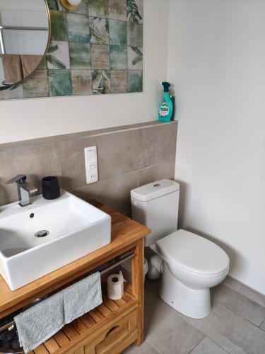a bathroom with a white sink and a toilet at Chambre privée Orthez in Orthez