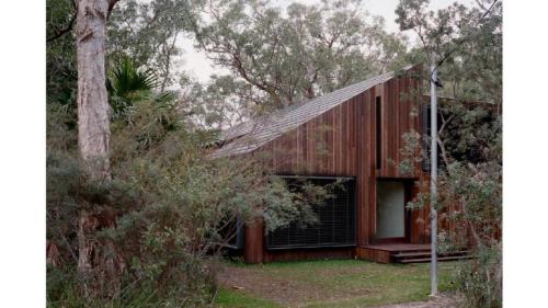 a house in the woods with a tree at Architectual Design, Plunge Pool, Lagoon Frontage in Pearl Beach