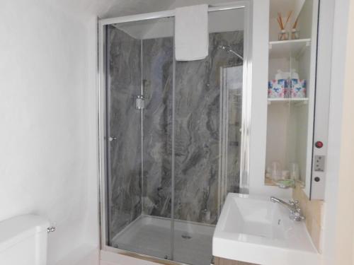 a bathroom with a shower and a sink at Middletown Farmhouse B&B in Okehampton