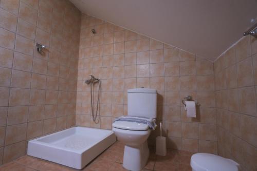 a bathroom with a toilet and a shower at Thermora Hotel in Orma