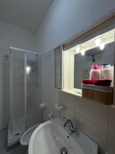 a bathroom with a sink and a shower and a mirror at Residenza Anagnina in Rome