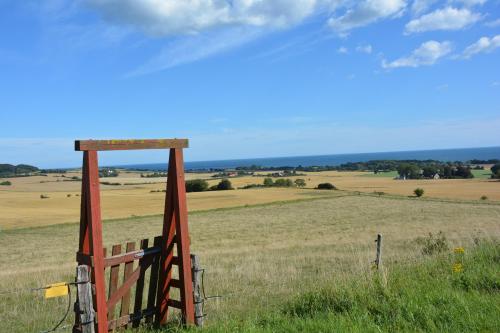 a wooden gate in a field with a fence at Havehøjegaard in Borre