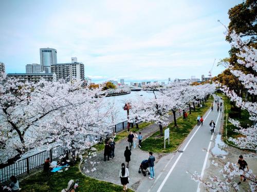 O's Apartment Hotel In Kyobashi 3FB