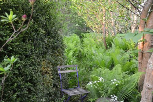 a wooden chair sitting in a garden with plants at Havehøjegaard in Borre