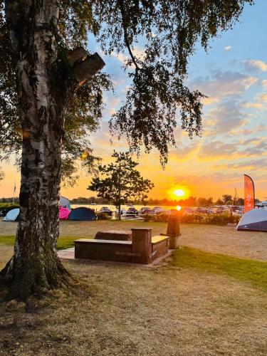a park with a bench under a tree with the sunset at Camping Kleine Belterwijde, Trekkershut in Belt-Schutsloot
