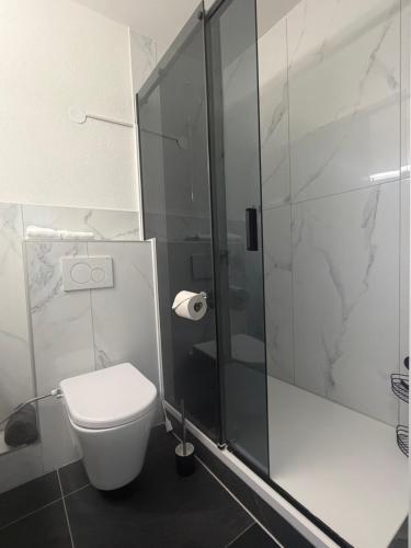 a bathroom with a toilet and a glass shower at Holiday On The Lake Lugano 5 in Bissone