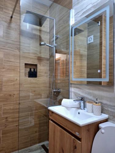 a bathroom with a sink and a shower at Zora Apartment in Plužine