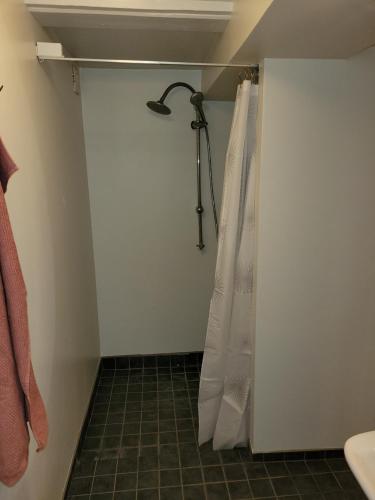 a bathroom with a shower with a shower curtain at Gamle Præstegård, viceværtlejlighed in Årup