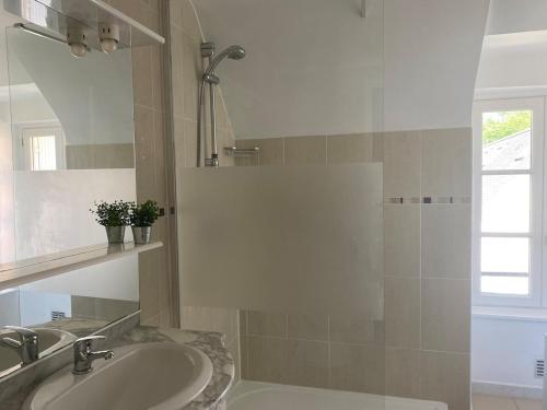 a bathroom with a sink and a shower at La Factory Saint Aignan in Saint-Aignan