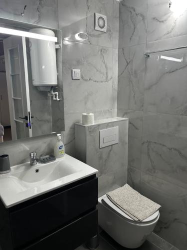 a bathroom with a sink and a toilet and a mirror at Vila Dunjić Prolom Banja in Prolomska Banja