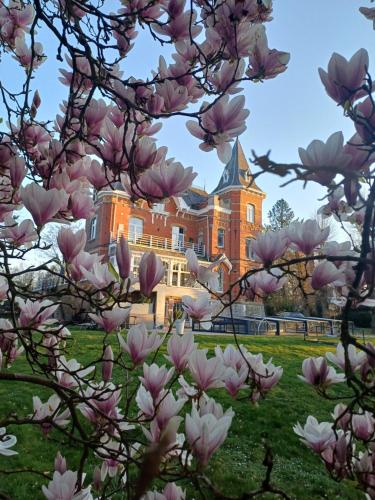 a magnolia tree in front of a building at B&B Chatelet Cremers in Verviers