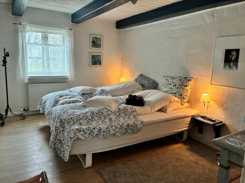 a bedroom with a bed with a cat laying on it at pallisgaard B&B in Struer