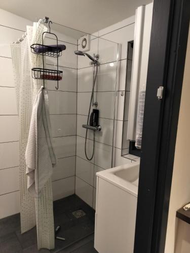 a bathroom with a shower and a sink at Zonnehoek in Bruinisse