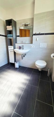 a bathroom with a sink and a toilet at Ferienwohnung Rütschlin in Nollingen