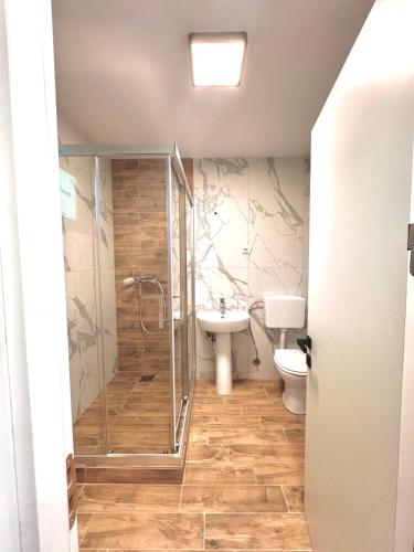 a bathroom with a shower and a toilet and a sink at The blue lagoon in Ohrid