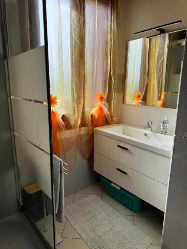 a bathroom with a sink and a shower with a mirror at Il Giardino di Bronto-lo in Crosare