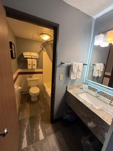 a bathroom with a toilet and a sink and a mirror at AmericInn by Wyndham St Cloud MN I-94 in Saint Cloud
