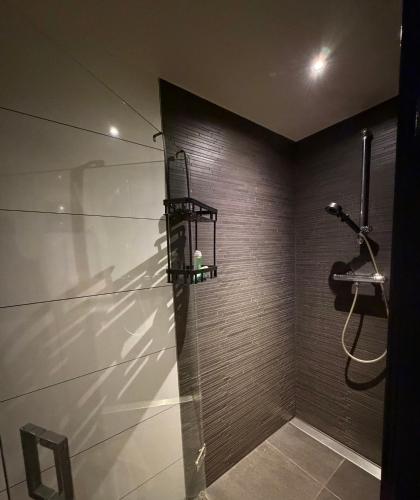 a bathroom with a shower with a glass wall at B & B De Allee in Almelo