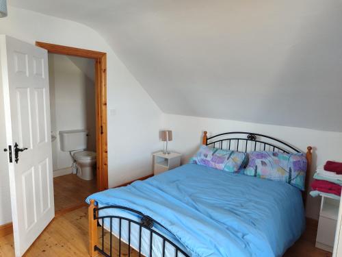 a bedroom with a bed with blue sheets and a toilet at Gerry's house in Milltown Malbay