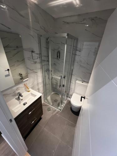a bathroom with a shower and a sink and a toilet at APART_SANVICENTE 6 in Vigo