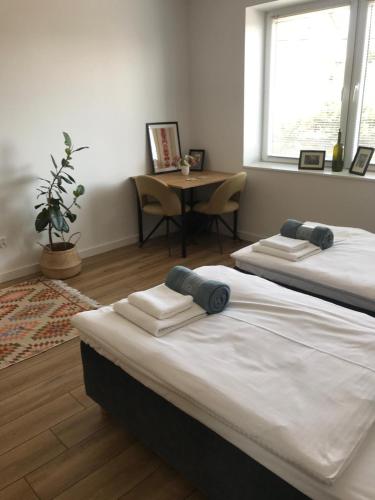 Apartamenty Tarcal