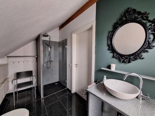 ein Badezimmer mit Waschbecken und Spiegel an der Wand in der Unterkunft Eselblick in Steinwenden