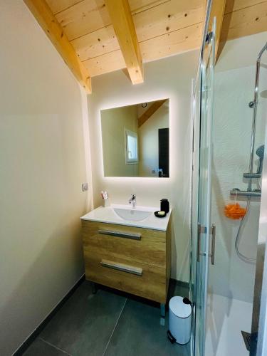 a bathroom with a sink and a shower at Chalet Douce Noire in Brides-les-Bains