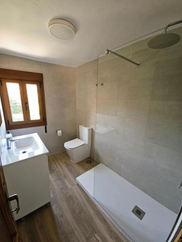a bathroom with a toilet and a sink and a shower at Casa García in Allariz