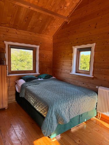 a bed in a log cabin with two windows at Trzy Domki Wysowa in Wysowa-Zdrój
