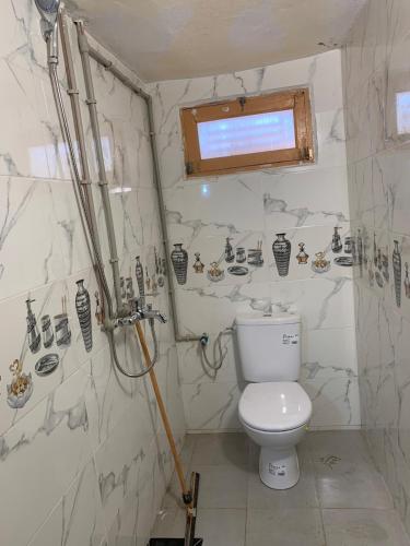 a bathroom with a toilet and a shower at Tinejdad Auberge in Tinejdad