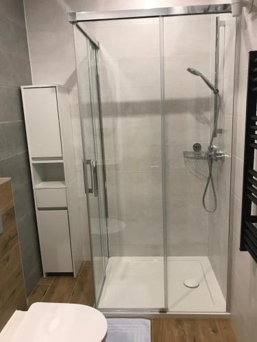 a shower with a glass door in a bathroom at Apartamenty Tarcal in Tarcal