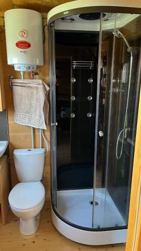 a small bathroom with a toilet and a shower at Srub u Hadiny in Pelhřimov