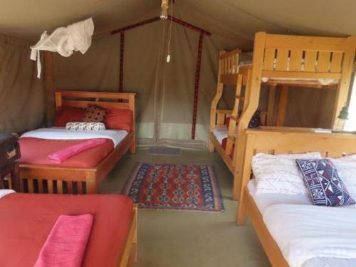 a room with two beds and two bunk beds at Odupoi Lodge in Maji Moto