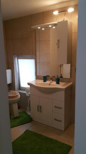 ein Badezimmer mit einem Waschbecken, einem WC und einem Spiegel in der Unterkunft Ferienwohnung Blick auf die Berge in Pidingerau