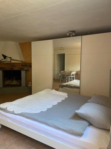 a bedroom with a large bed with a mirror at Holiday accomodation appartamento in seminterrato in Coglio
