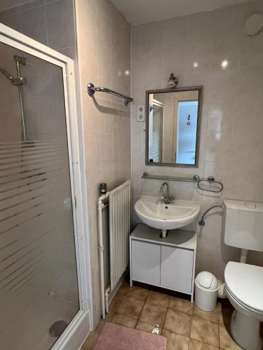 a bathroom with a sink and a shower and a toilet at Caldener Hof in Calden