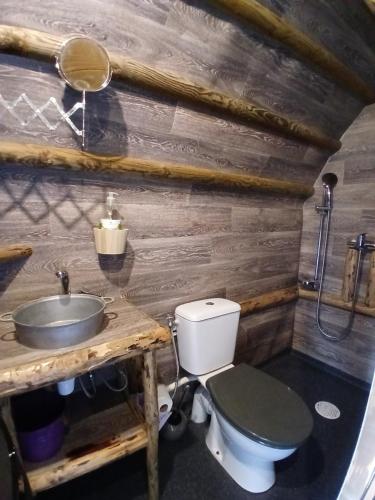 a bathroom with a toilet and a sink at La Colline Aux Cabanes in Espaly-Saint-Marcel